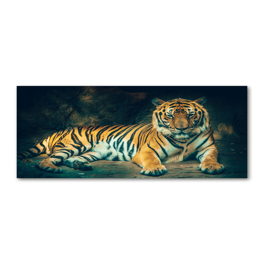 Print on acrylic Tiger in a cave