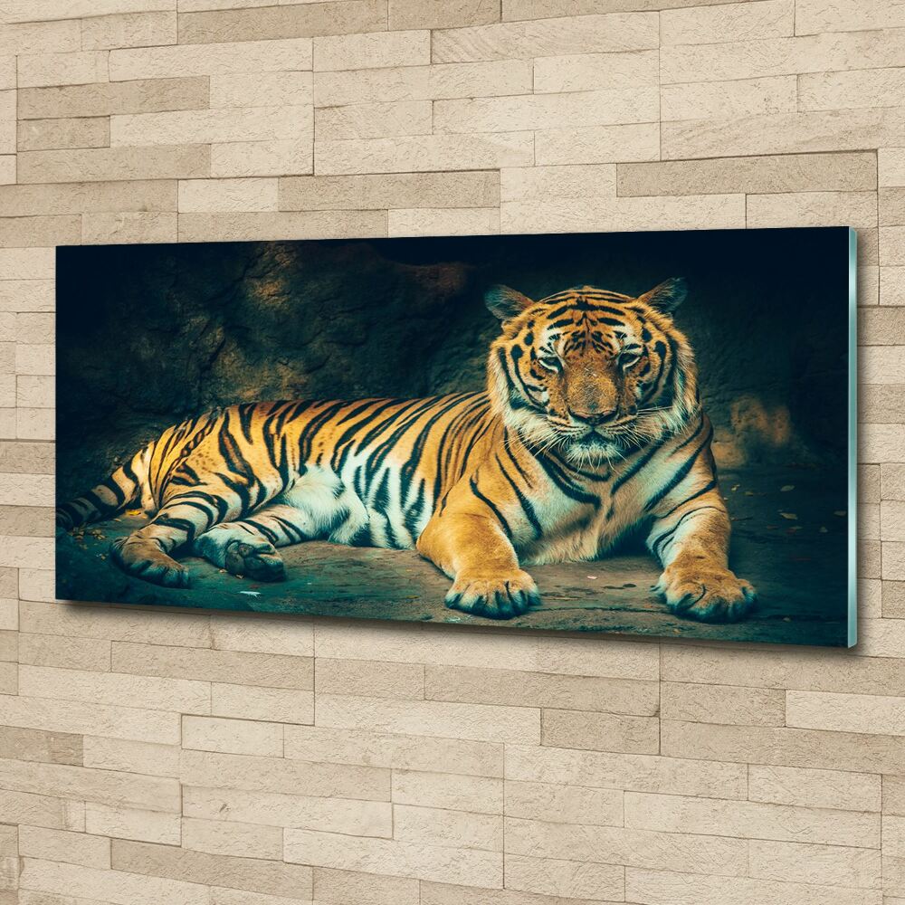 Print on acrylic Tiger in a cave