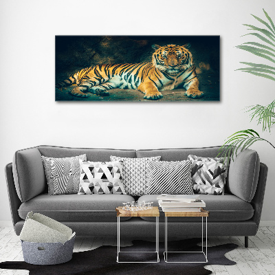 Print on acrylic Tiger in a cave