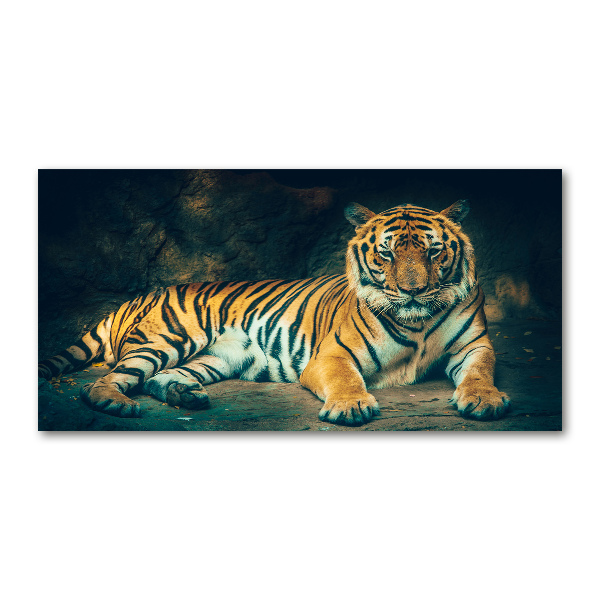 Print on acrylic Tiger in a cave