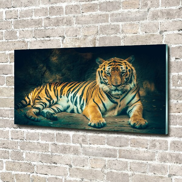 Print on acrylic Tiger in a cave