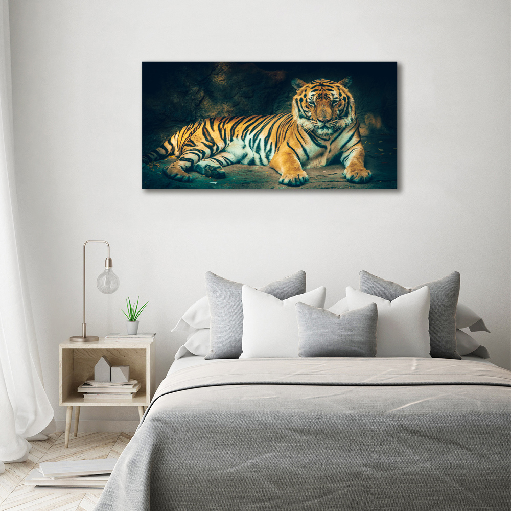 Print on acrylic Tiger in a cave