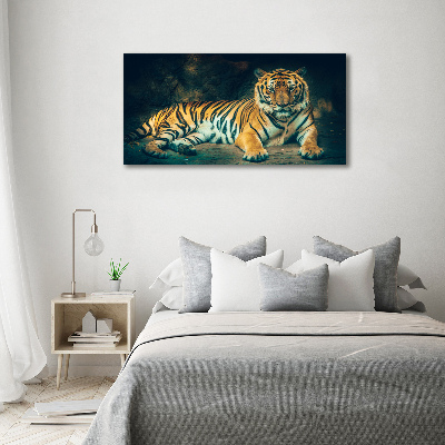 Print on acrylic Tiger in a cave