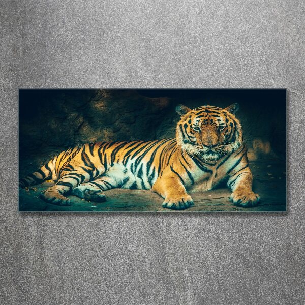 Print on acrylic Tiger in a cave