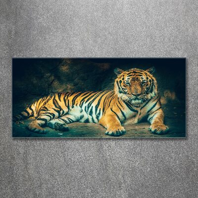 Print on acrylic Tiger in a cave