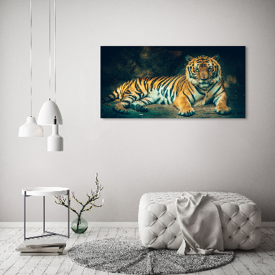 Print on acrylic Tiger in a cave