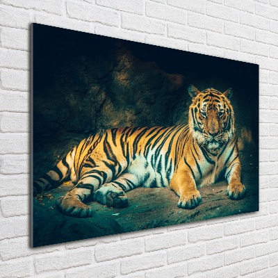 Print on acrylic Tiger in a cave