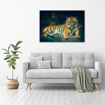 Print on acrylic Tiger in a cave