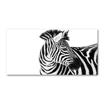 Print on acrylic Zebra in the snow