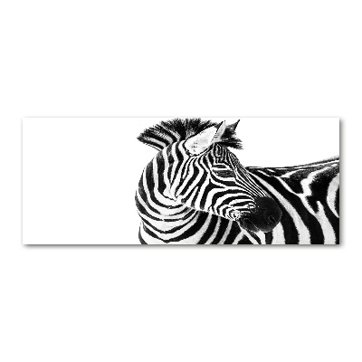 Print on acrylic Zebra in the snow