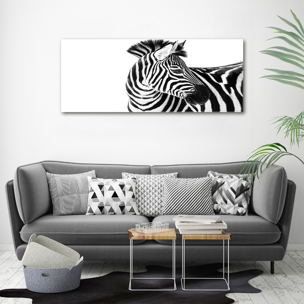 Print on acrylic Zebra in the snow