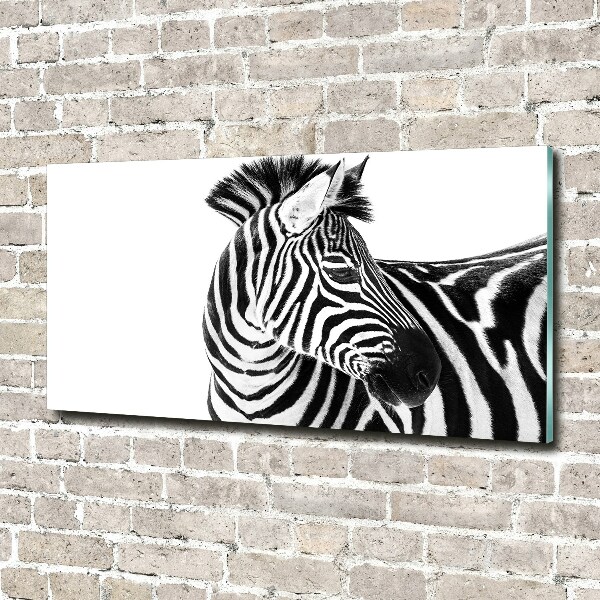 Print on acrylic Zebra in the snow