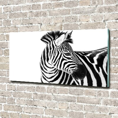 Print on acrylic Zebra in the snow