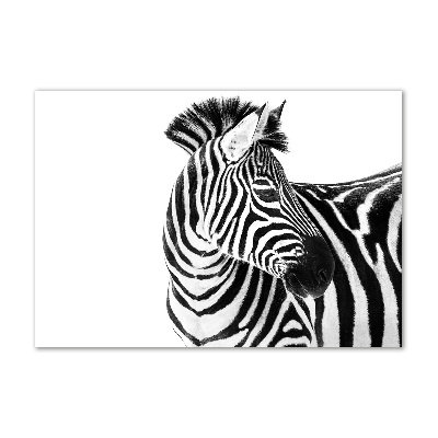 Print on acrylic Zebra in the snow