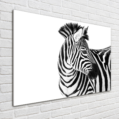 Print on acrylic Zebra in the snow