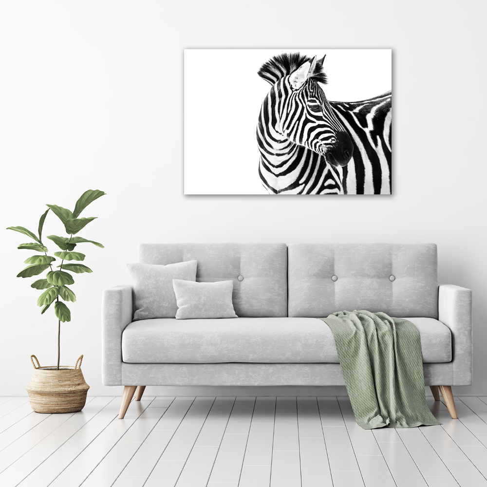 Print on acrylic Zebra in the snow