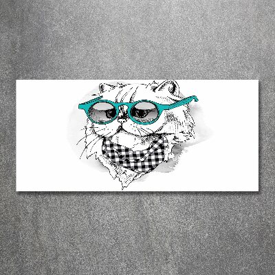 Print on acrylic Cat with glasses