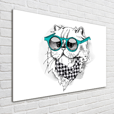 Print on acrylic Cat with glasses