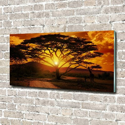 Wall art acrylic West Africa