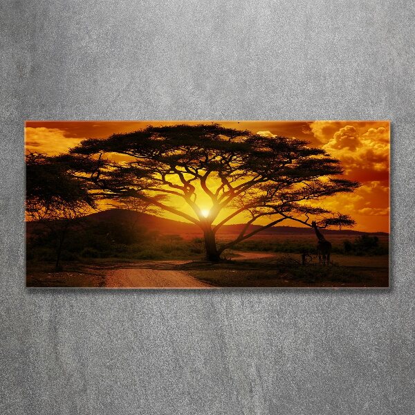 Wall art acrylic West Africa