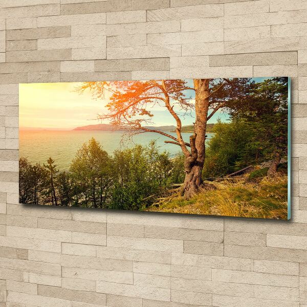 Wall art acrylic Scandinavian lake