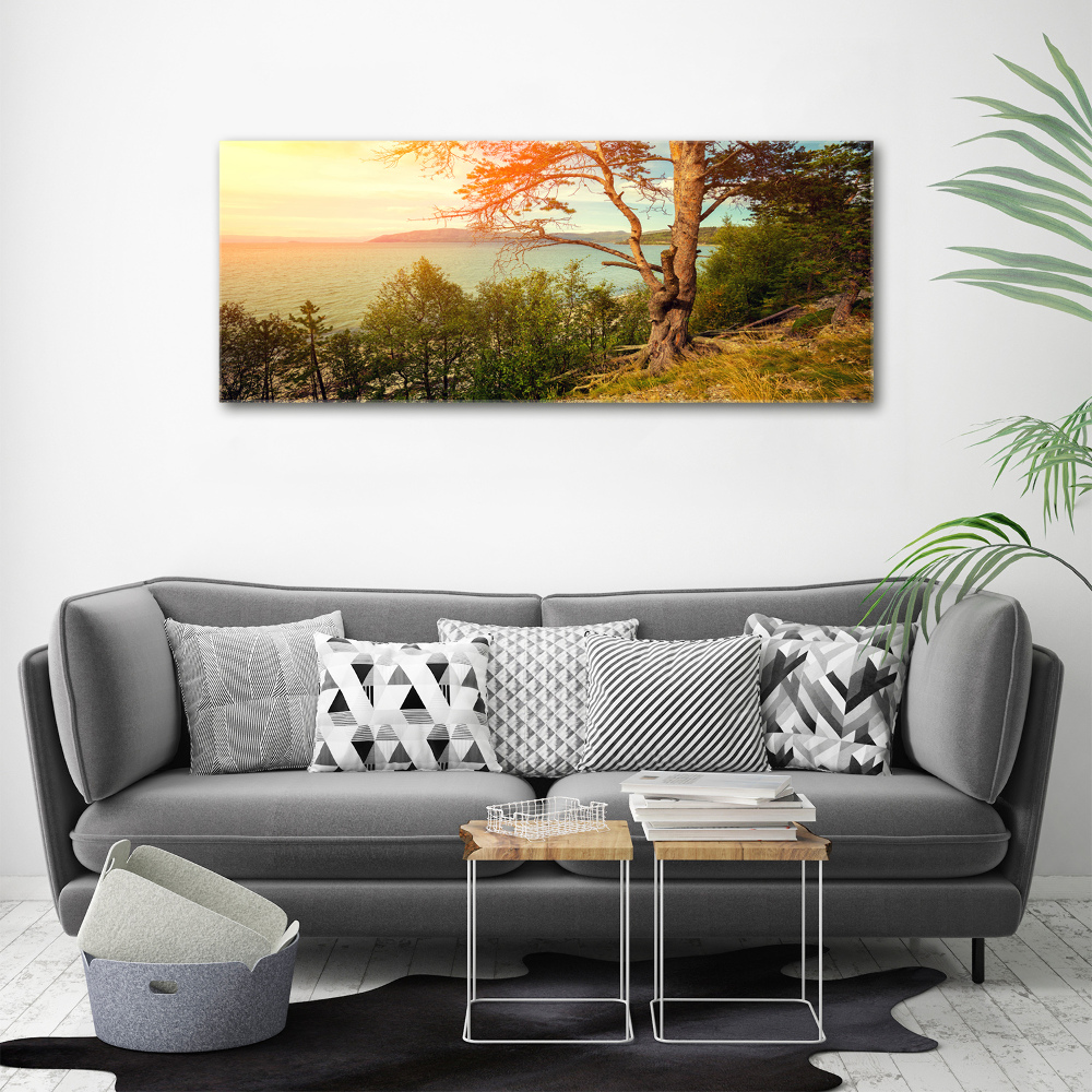 Wall art acrylic Scandinavian lake