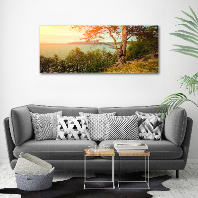 Wall art acrylic Scandinavian lake