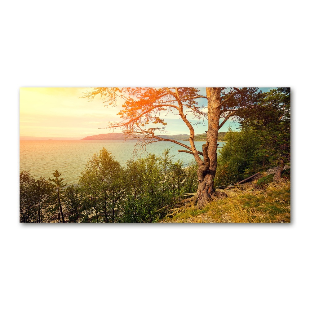 Wall art acrylic Scandinavian lake