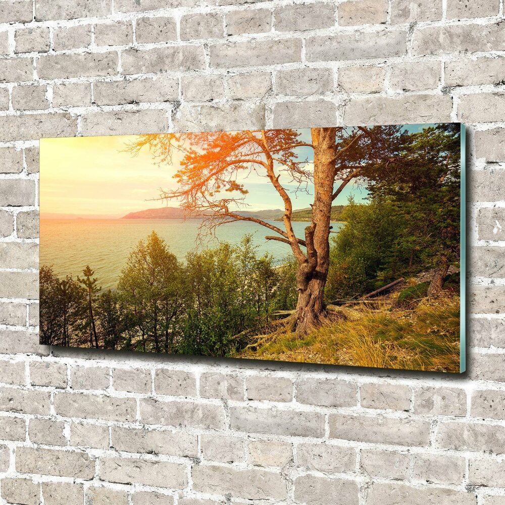 Wall art acrylic Scandinavian lake