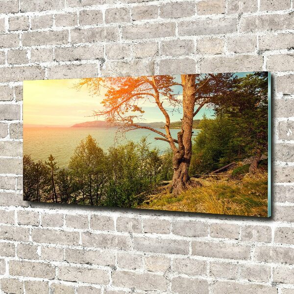 Wall art acrylic Scandinavian lake