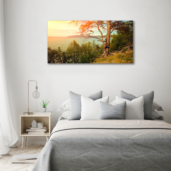 Wall art acrylic Scandinavian lake