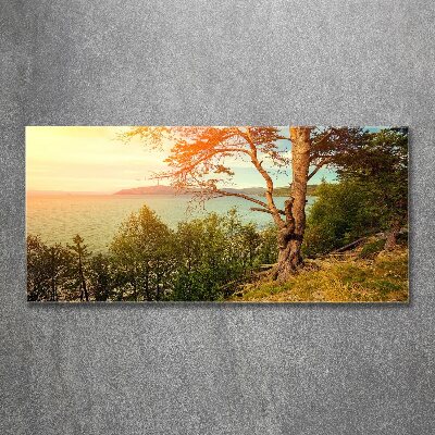 Wall art acrylic Scandinavian lake