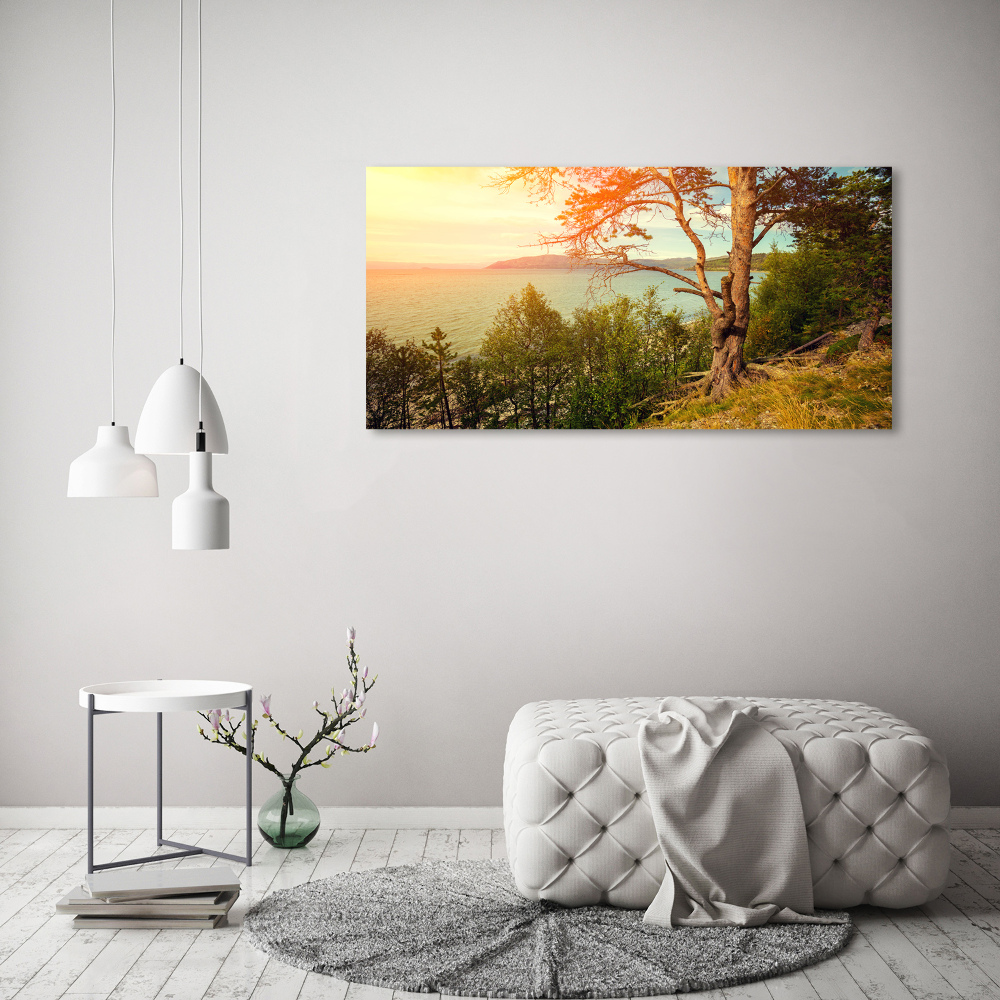 Wall art acrylic Scandinavian lake