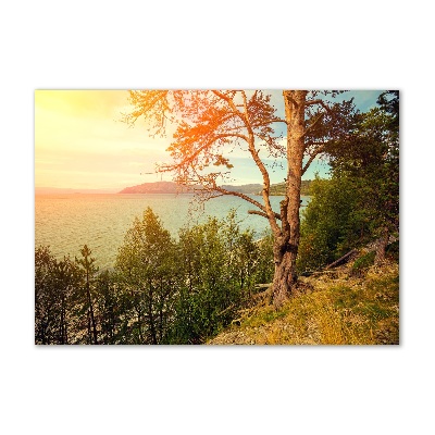 Wall art acrylic Scandinavian lake