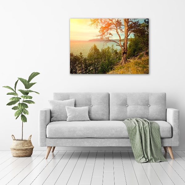 Wall art acrylic Scandinavian lake