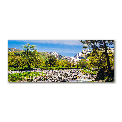 Wall art acrylic River in the mountains