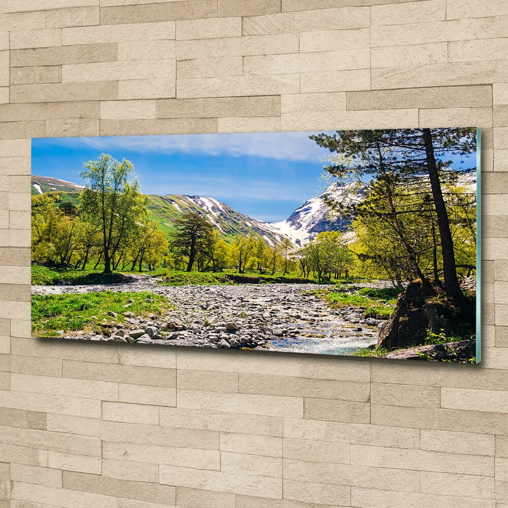 Wall art acrylic River in the mountains