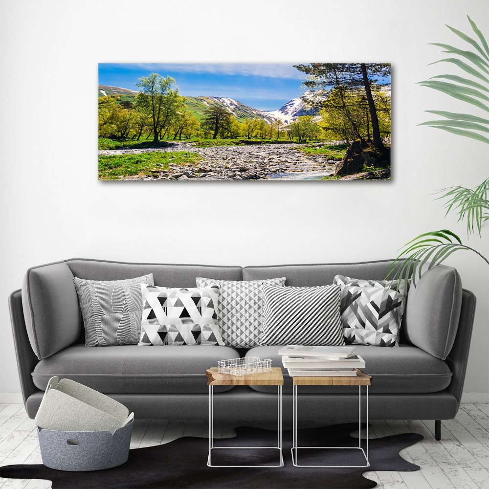 Wall art acrylic River in the mountains