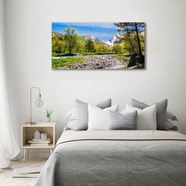 Wall art acrylic River in the mountains