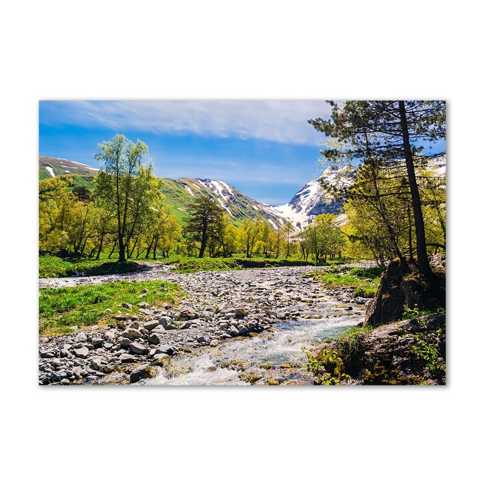 Wall art acrylic River in the mountains