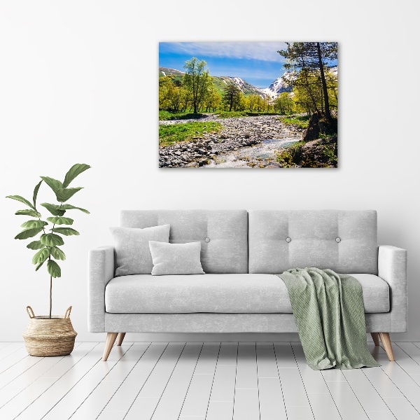 Wall art acrylic River in the mountains