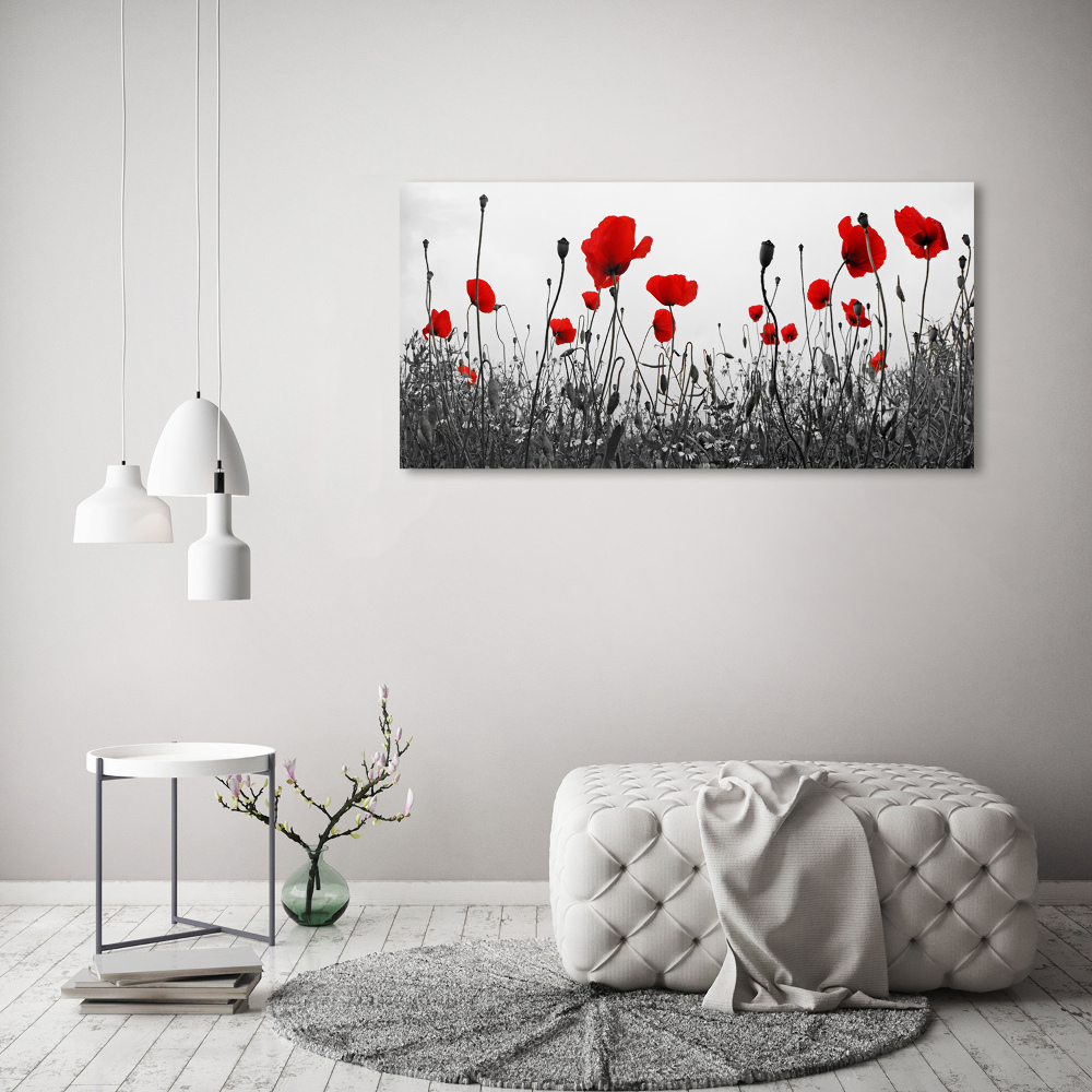 Acrylic wall art Macs