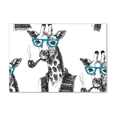 Print on acrylic Giraffe with glasses