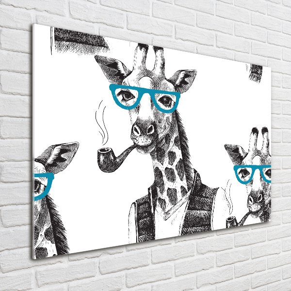 Print on acrylic Giraffe with glasses