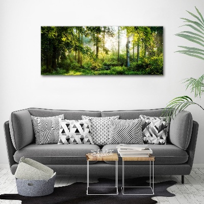 Acrylic wall art Morning sun forest