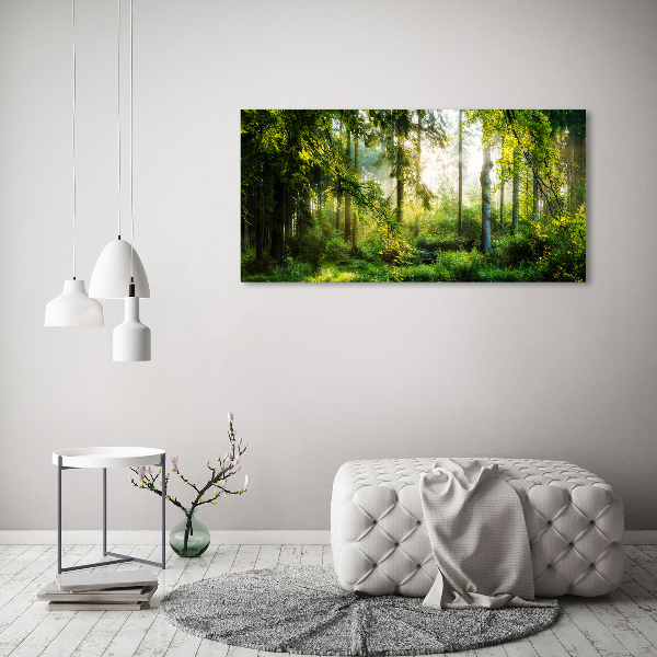 Acrylic wall art Morning sun forest