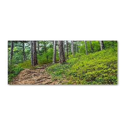 Acrylic wall art Forest track