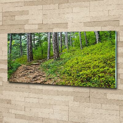 Acrylic wall art Forest track