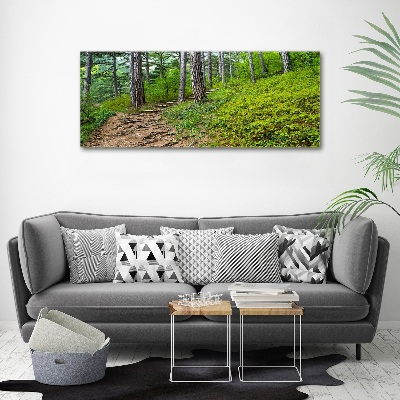 Acrylic wall art Forest track