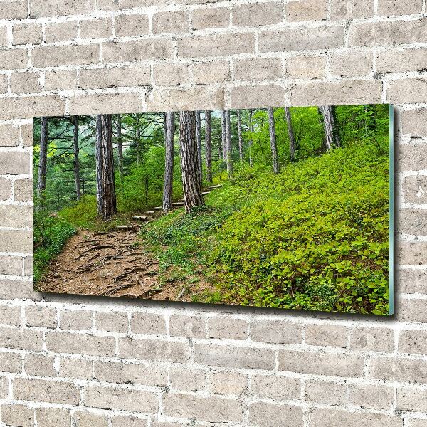 Acrylic wall art Forest track